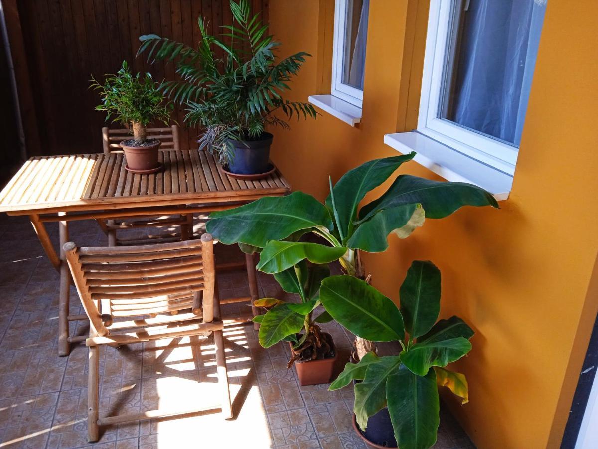 Bee Home Vecses Exterior photo